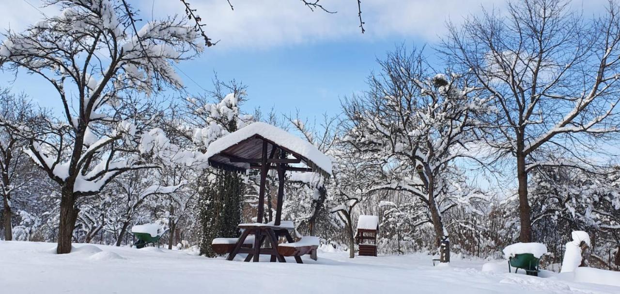 Villa Casa Bunicului Vistisoara Esterno foto