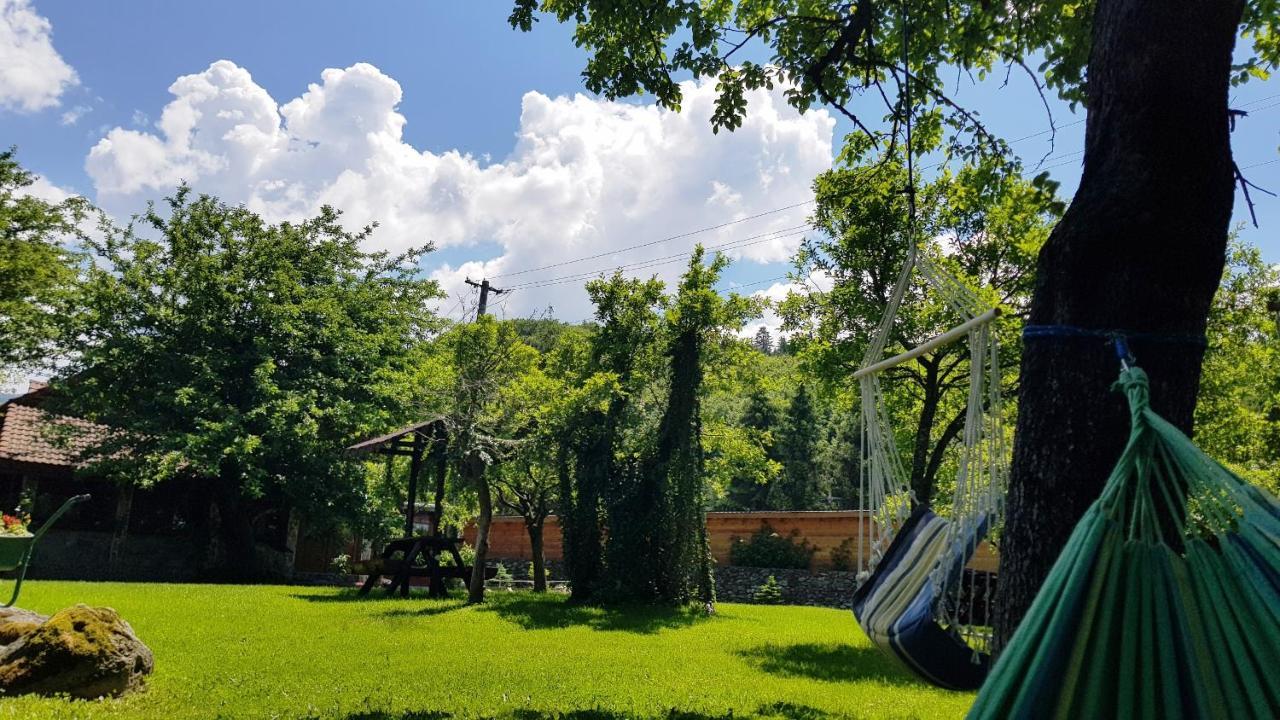 Villa Casa Bunicului Vistisoara Esterno foto