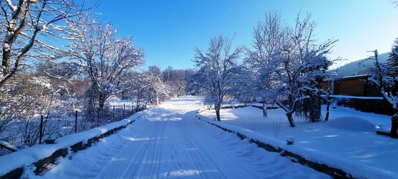 Villa Casa Bunicului Vistisoara Esterno foto