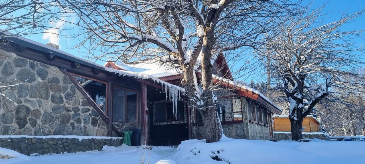 Villa Casa Bunicului Vistisoara Esterno foto