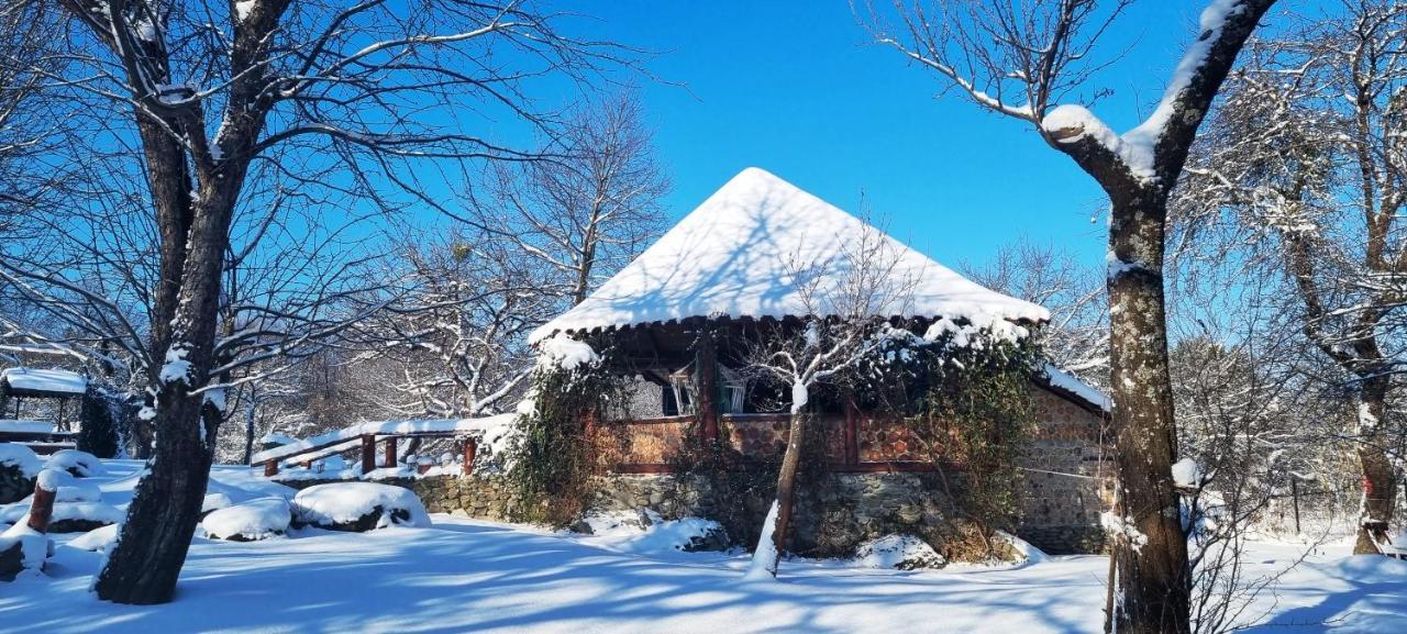 Villa Casa Bunicului Vistisoara Esterno foto