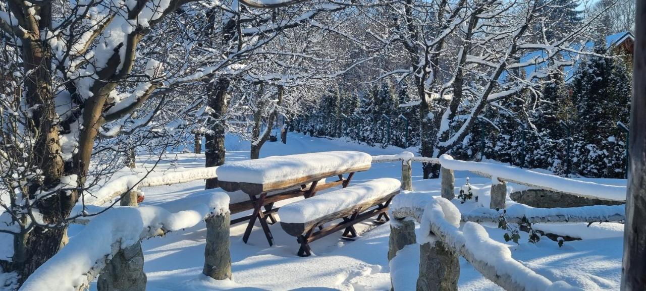 Villa Casa Bunicului Vistisoara Esterno foto