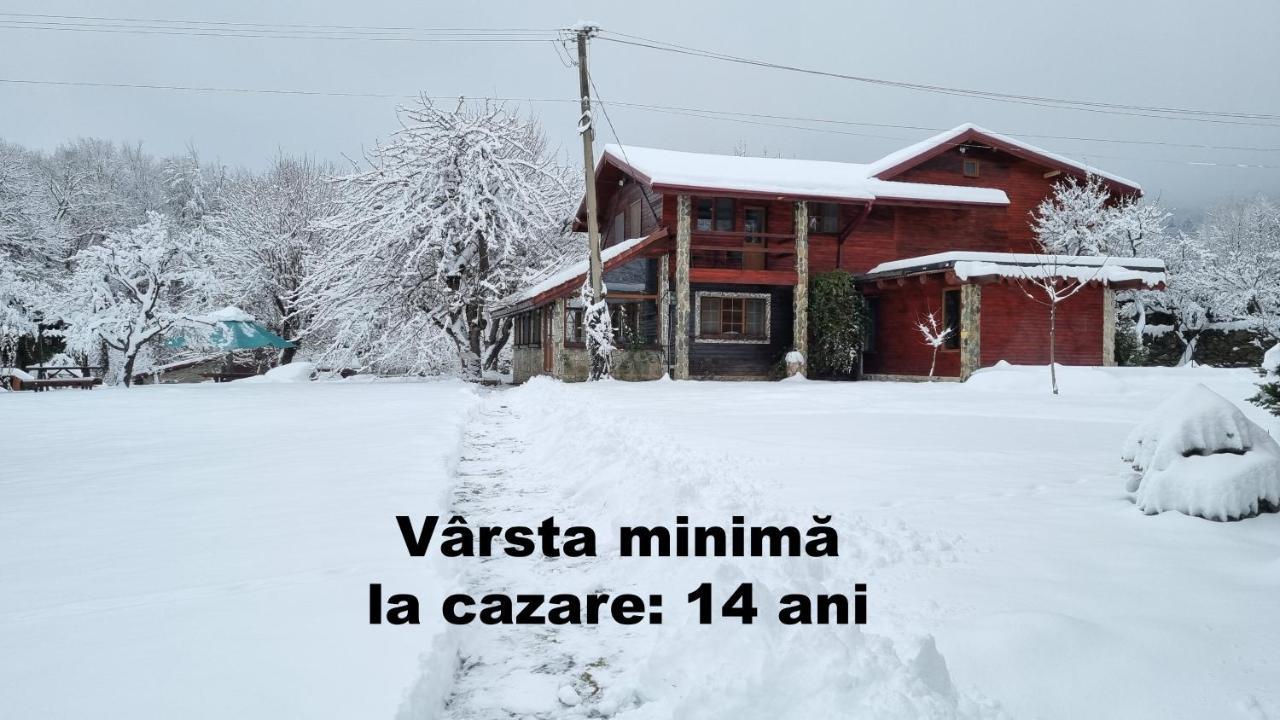 Villa Casa Bunicului Vistisoara Esterno foto