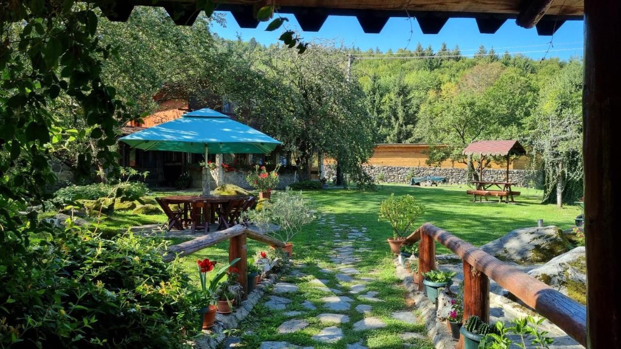 Villa Casa Bunicului Vistisoara Esterno foto