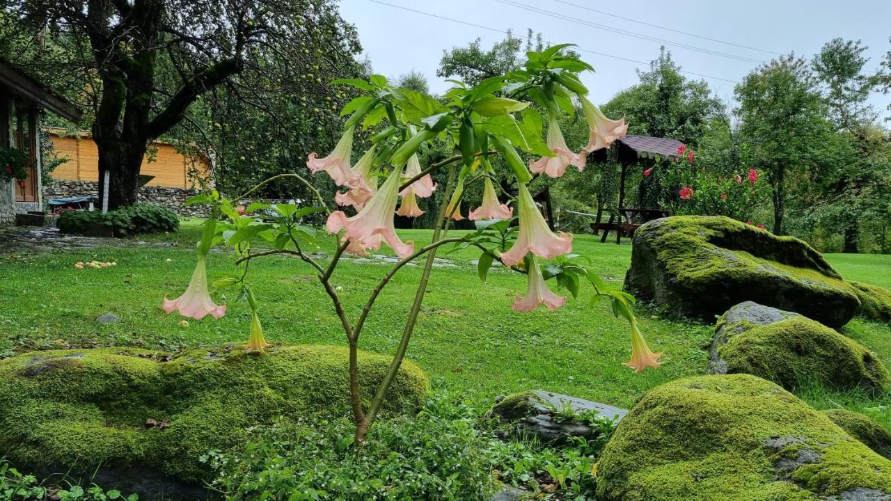 Villa Casa Bunicului Vistisoara Esterno foto