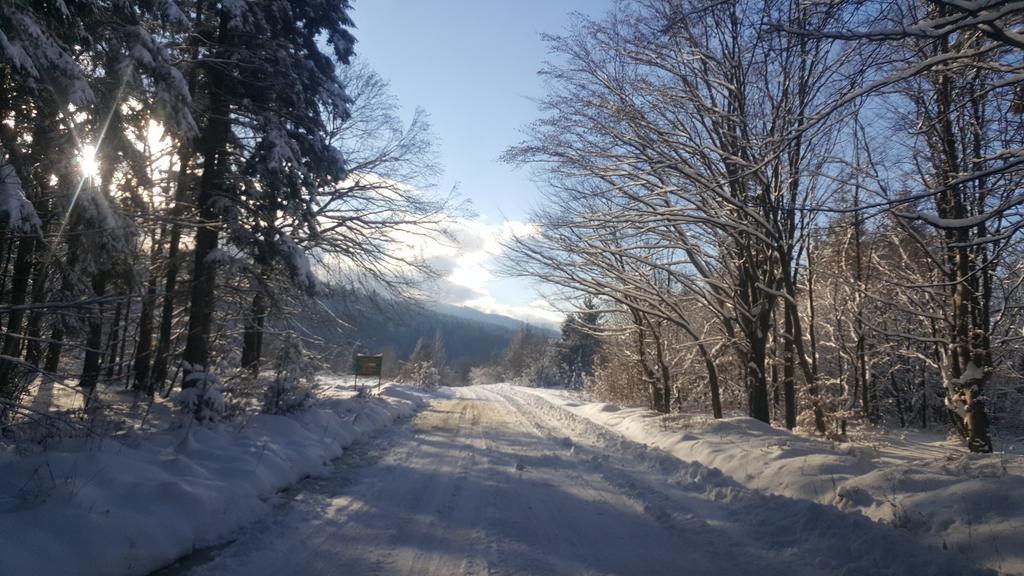 Villa Casa Bunicului Vistisoara Esterno foto