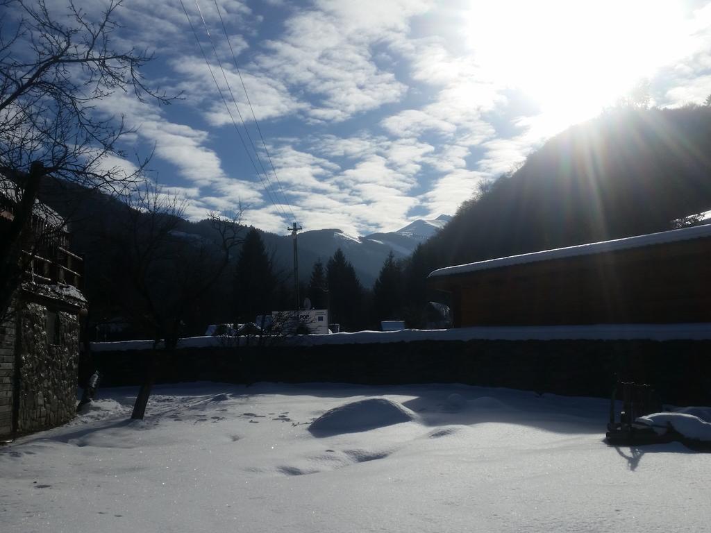 Villa Casa Bunicului Vistisoara Esterno foto