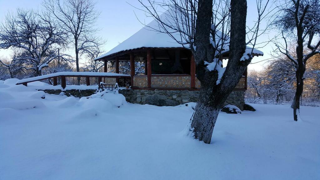 Villa Casa Bunicului Vistisoara Esterno foto