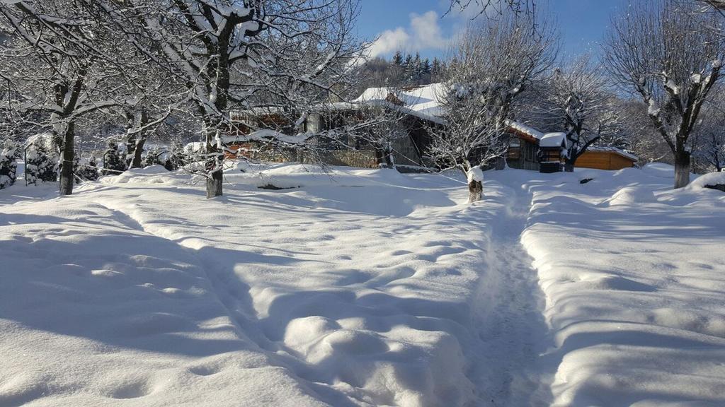 Villa Casa Bunicului Vistisoara Esterno foto
