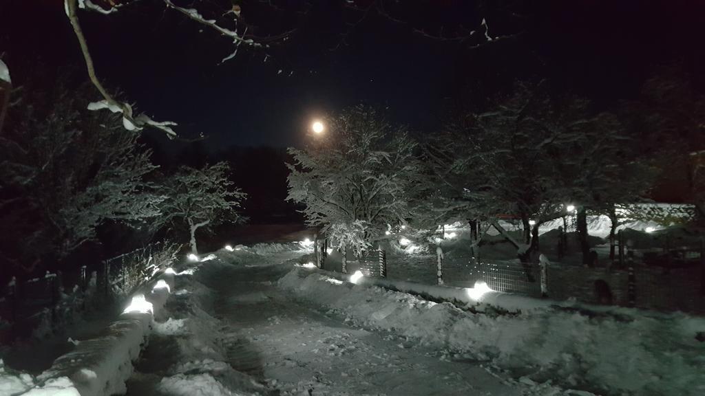 Villa Casa Bunicului Vistisoara Esterno foto