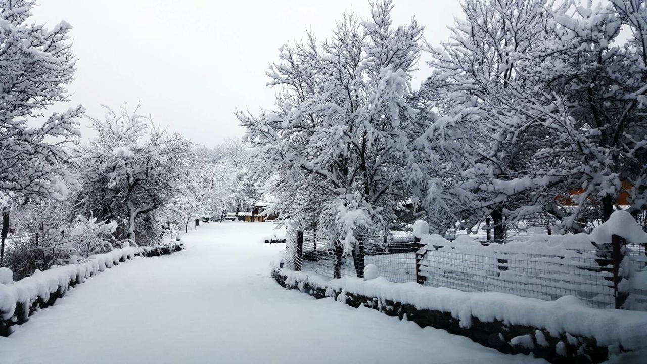 Villa Casa Bunicului Vistisoara Esterno foto