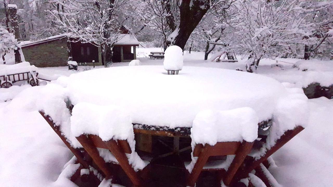 Villa Casa Bunicului Vistisoara Esterno foto