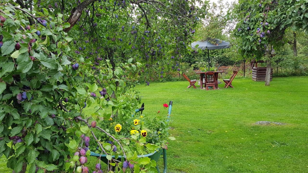 Villa Casa Bunicului Vistisoara Esterno foto