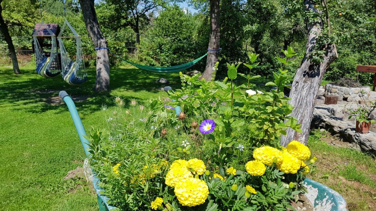 Villa Casa Bunicului Vistisoara Esterno foto