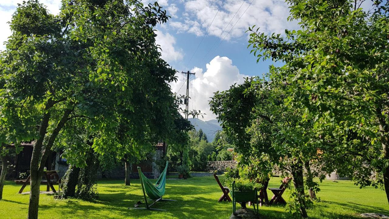 Villa Casa Bunicului Vistisoara Esterno foto
