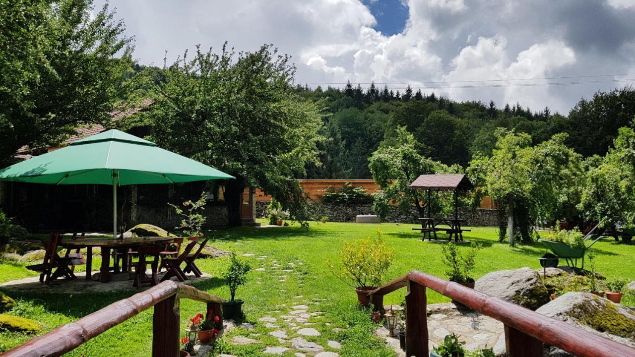 Villa Casa Bunicului Vistisoara Esterno foto