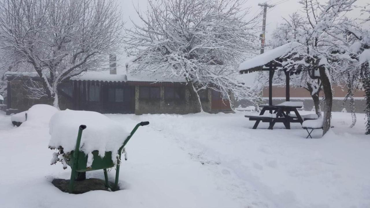 Villa Casa Bunicului Vistisoara Esterno foto