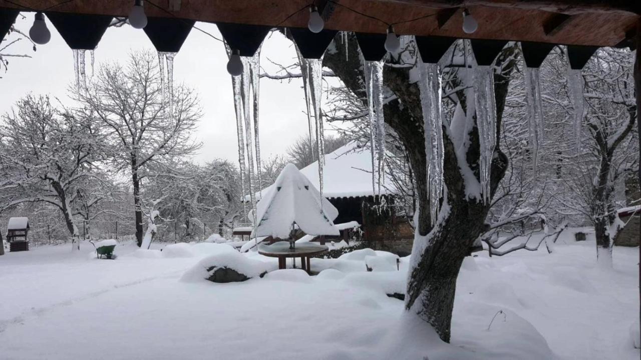 Villa Casa Bunicului Vistisoara Esterno foto