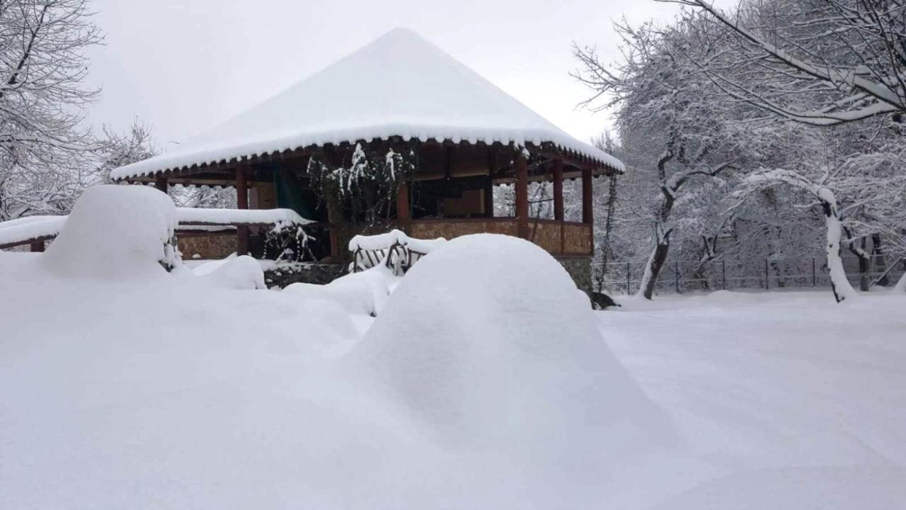 Villa Casa Bunicului Vistisoara Esterno foto