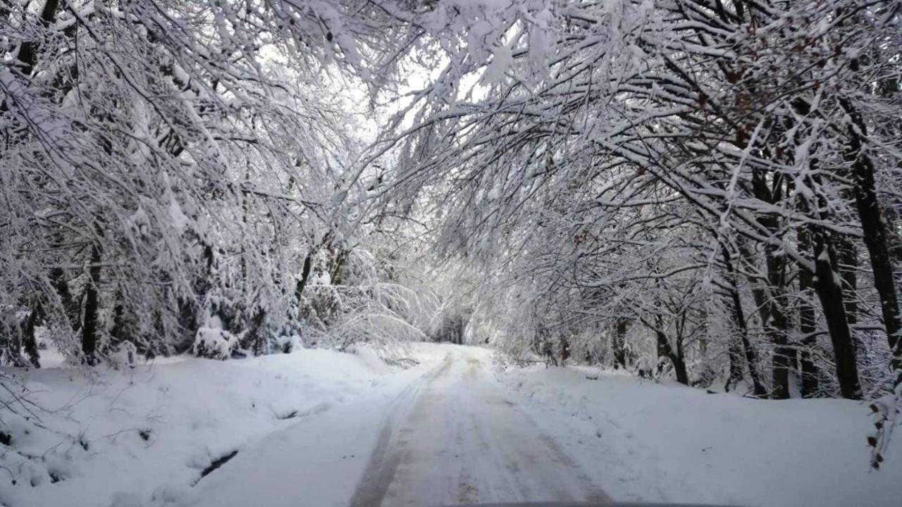 Villa Casa Bunicului Vistisoara Esterno foto