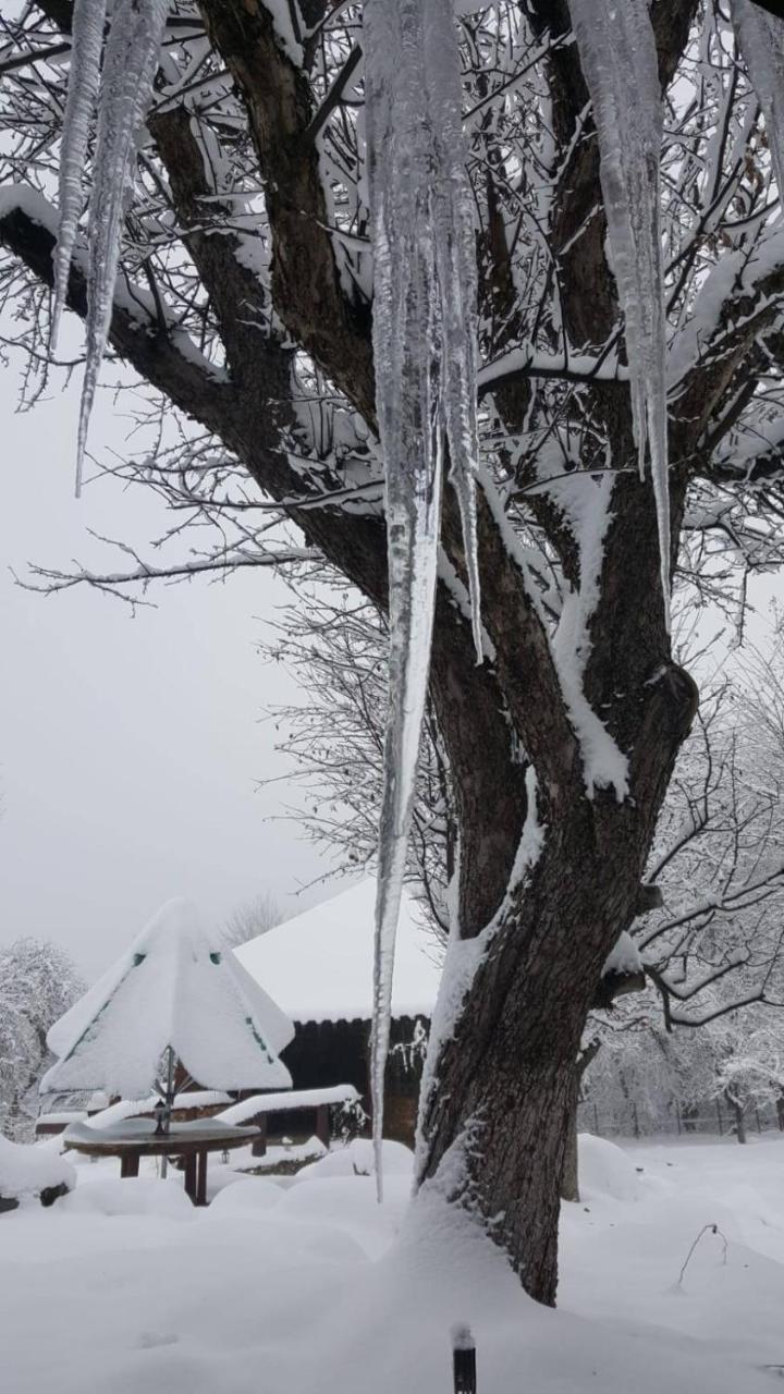Villa Casa Bunicului Vistisoara Esterno foto