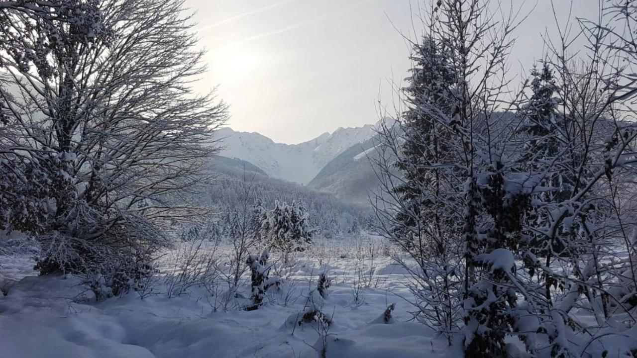 Villa Casa Bunicului Vistisoara Esterno foto