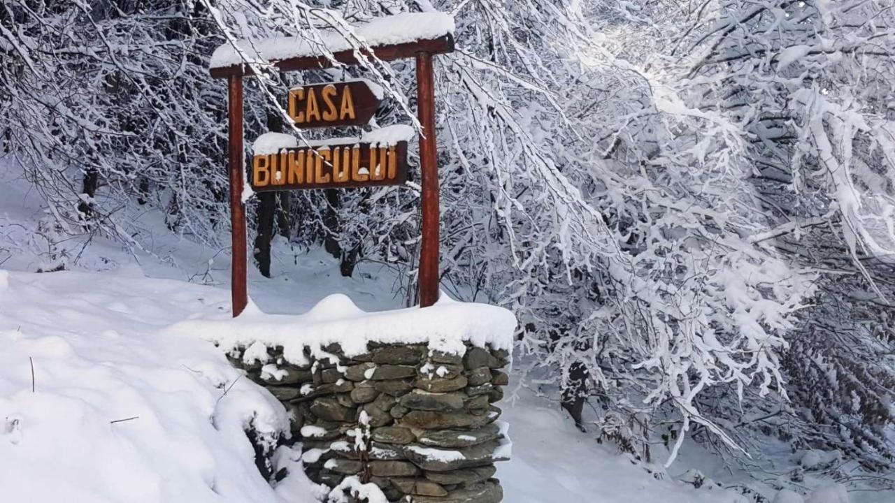 Villa Casa Bunicului Vistisoara Esterno foto