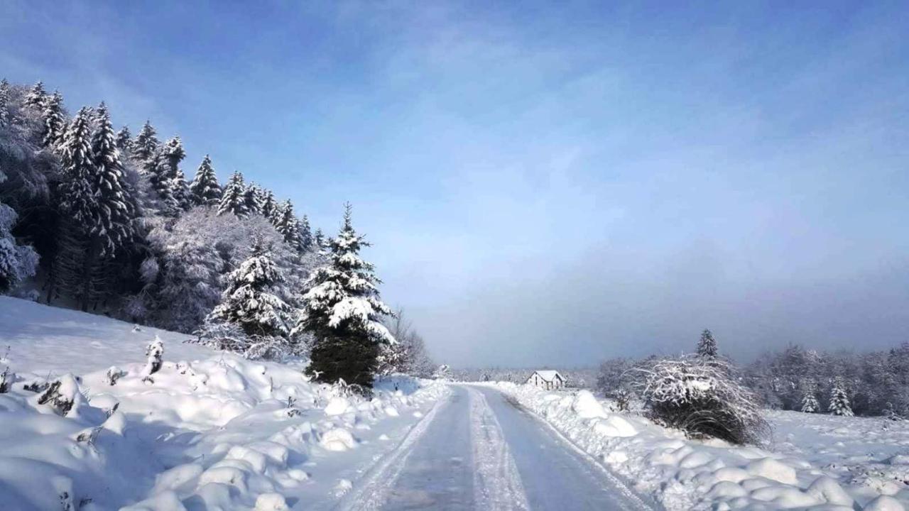 Villa Casa Bunicului Vistisoara Esterno foto