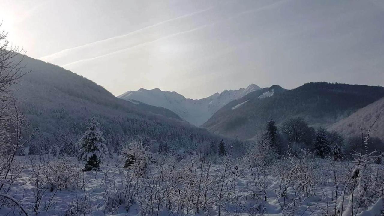 Villa Casa Bunicului Vistisoara Esterno foto
